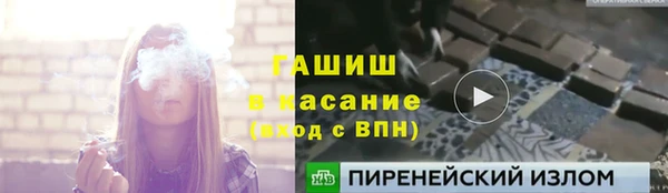 крисы Алзамай