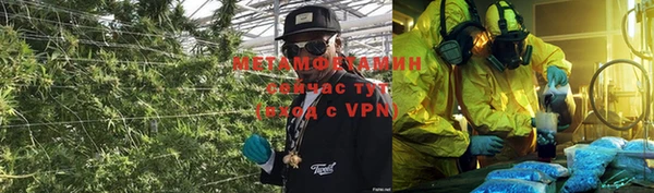 крисы Алзамай
