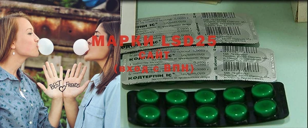 крисы Алзамай